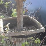 photo 2019-12-15 10-26-23