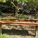 photo 2021-04-22 10-02-59