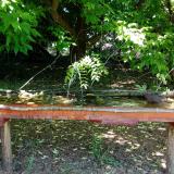 photo 2021-05-26 10-43-14