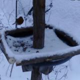 photo 2019-01-08 15-53-42