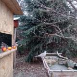 photo 2021-12-22 08-00-39