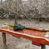 photo 2021-03-18 15-30-27