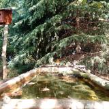 photo 2023-10-11 12-19-21