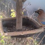 photo 2019-12-22 13-05-55