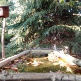 photo 2023-10-05 16-41-06