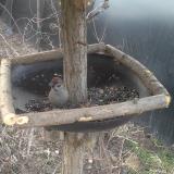 photo 2019-03-04 07-09-10