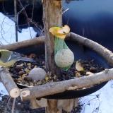 photo 2019-01-15 09-00-54