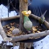 photo 2019-01-14 11-44-24