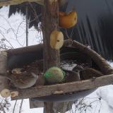 photo 2019-01-27 12-16-35