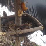 photo 2019-02-01 11-37-44