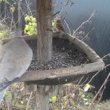 photo 2019-12-19 08-09-43