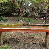 photo 2021-04-13 08-21-39