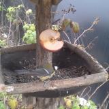 photo 2019-12-05 13-15-09