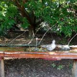 photo 2021-09-06 16-33-54