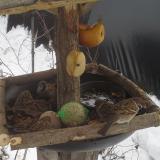 photo 2019-01-27 13-19-57