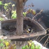 photo 2019-12-02 10-31-34