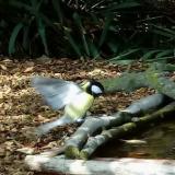 photo 2021-09-28 13-58-54 szencinege