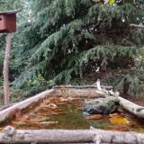 photo 2023-10-15 17-14-35