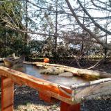 photo 2022-03-11 07-50-41