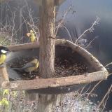 photo 2019-12-29 13-53-47