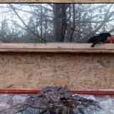 photo 2022-01-20 16-01-29