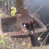 photo 2019-12-19 08-21-28