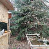 photo 2021-12-26 13-31-31