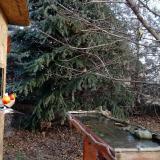 photo 2021-12-15 09-16-00