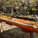 photo 2021-04-05 09-04-31