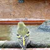 photo 2023-10-28 12-19-00 csiz