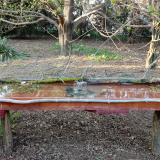 photo 2021-04-09 18-08-46