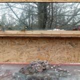 photo 2022-01-17 12-35-05