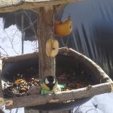 photo 2019-01-29 11-55-16