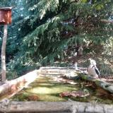 photo 2023-10-03 10-17-54