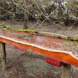 photo 2021-04-01 16-46-17