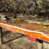 photo 2021-04-08 16-30-04