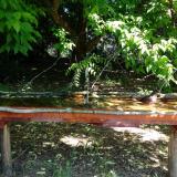 photo 2021-05-21 10-16-09