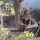 photo 2019-12-12 11-46-03