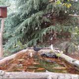 photo 2023-10-10 08-49-09