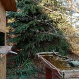 photo 2021-11-18 14-29-02