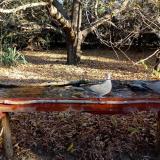 photo 2021-10-25 08-56-24