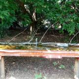 photo 2021-08-09 13-27-18