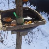 photo 2019-01-26 09-59-00