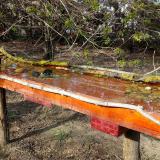 photo 2021-04-08 16-35-56