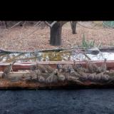 photo 2021-11-28 12-42-02