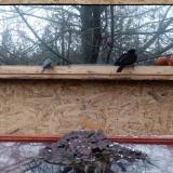 photo 2022-01-20 15-22-55