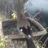 photo 2019-12-25 09-22-23