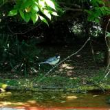 photo 2021-05-08 11-19-18 cinke