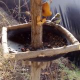 photo 2019-02-08 09-55-01