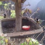 photo 2019-12-06 11-46-49